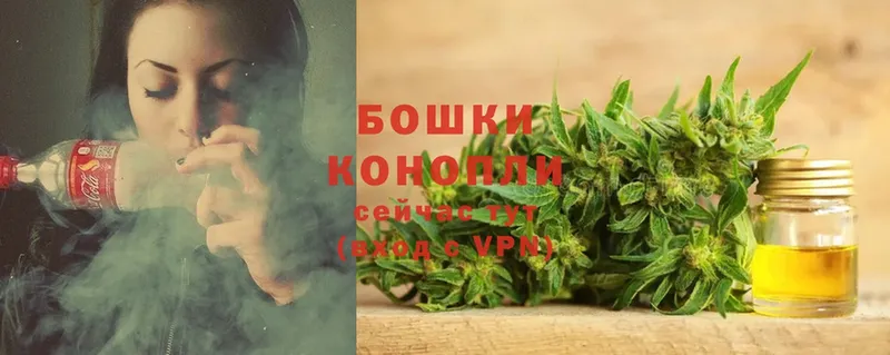 MEGA как войти  Норильск  Бошки Шишки THC 21% 